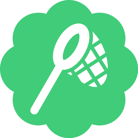 Bug Hunter Icon